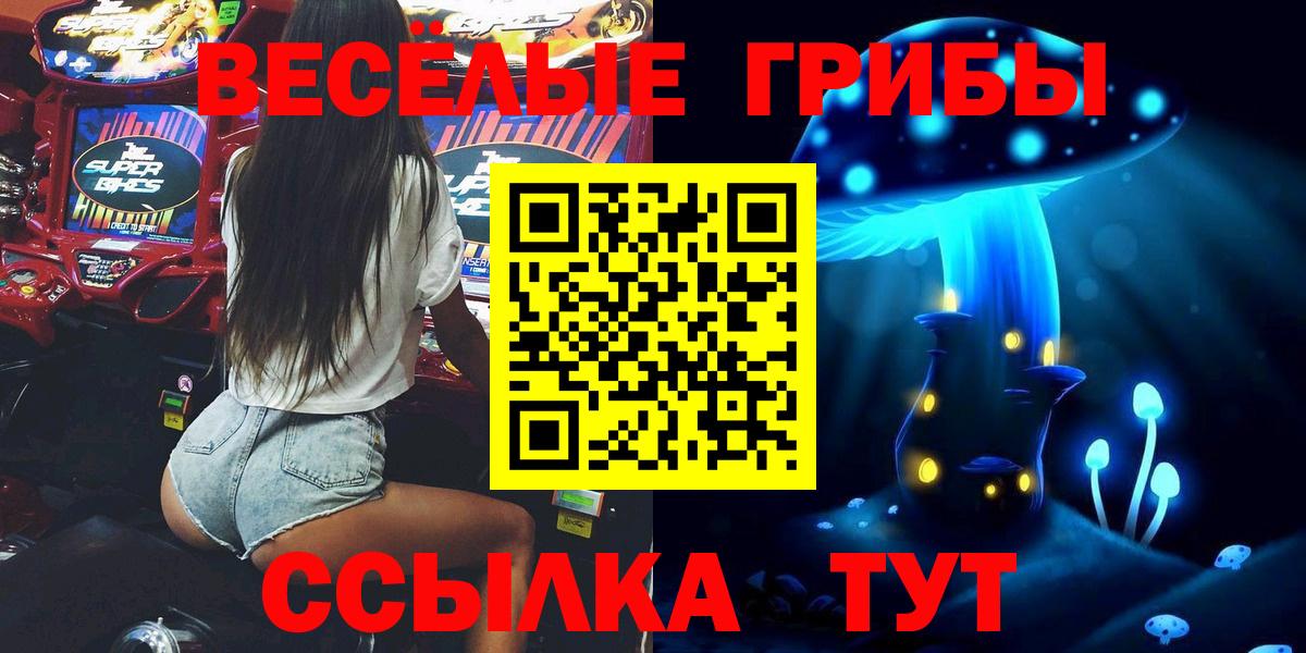 Псилоцибиновые грибы Psilocybe  что такое   Ефремов  Вход с VPN  Псилоцибиновые грибы MAGIC MUSHROOMS 